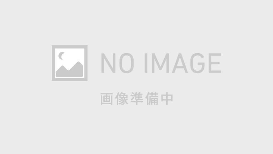 【発明主婦考案】ムダなく根こそぎ丸ごと果汁！めっちゃレモン搾り器カメレモン
