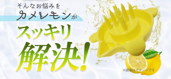 カメレモン 製品画像